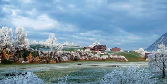 Photos from the Field: Frost Coats a Swiss Winter Wonderland